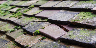 Elmesthorpe roof repair costs